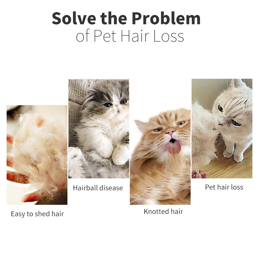 Bàn chải chải lông cho thú cưng