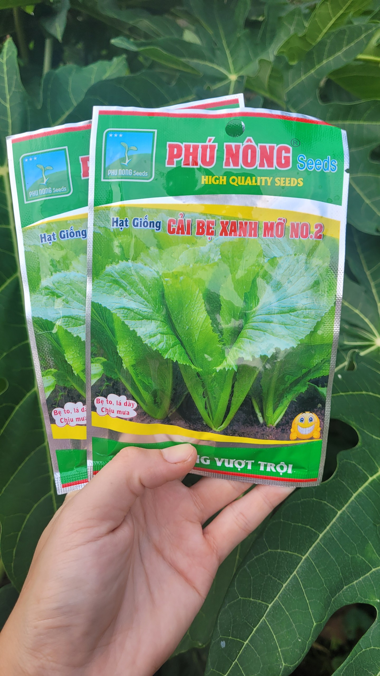 Hạt giống Cải bẹ xanh mỡ NO.2 Phú Nông gói 20 gram