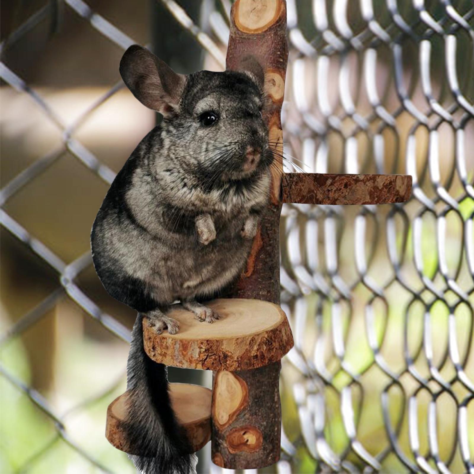 Wooden Climbing Ladder Stand Platform Perch Activity Exercise Rodents Toy Playground Hamster Chew Toys for Chinchilla Gerbil Parrot Resting