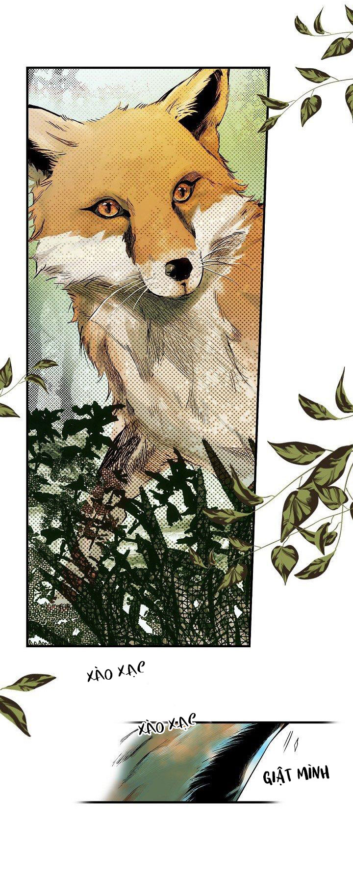 cổ tích về người mẹ kế chapter 29 47