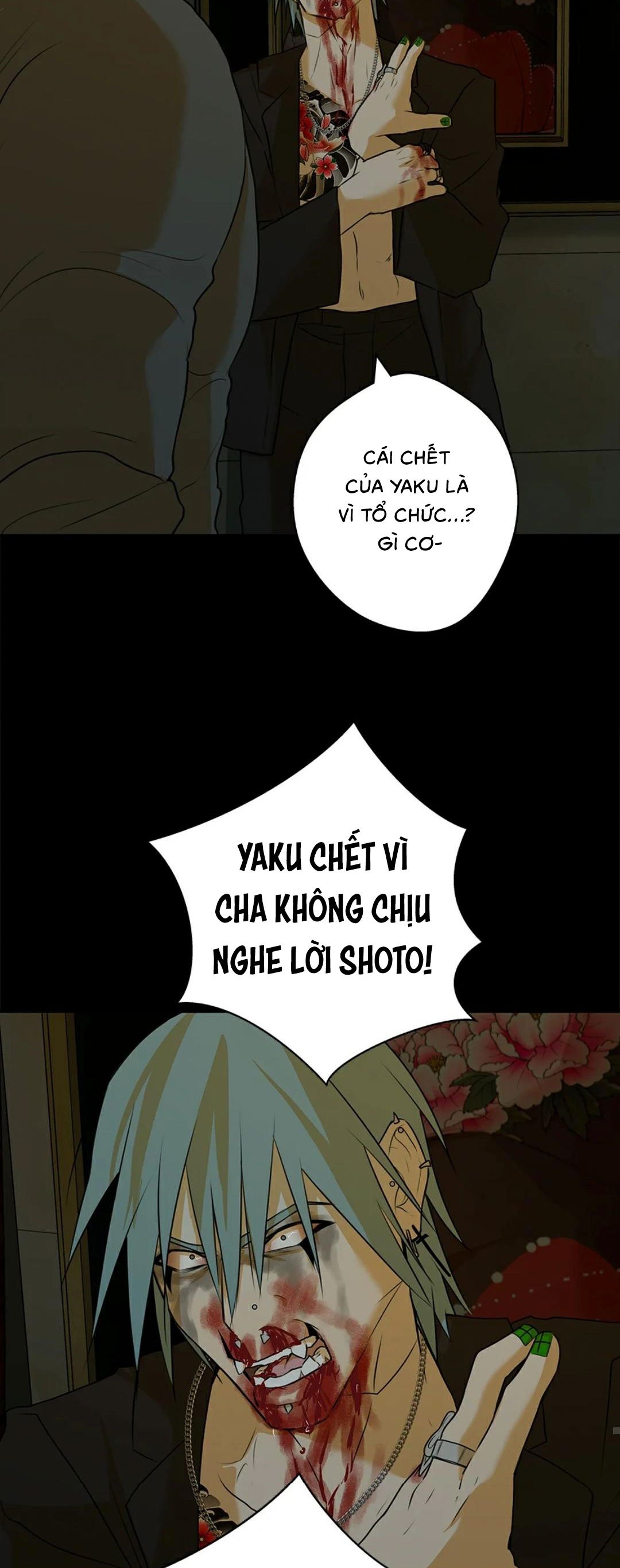 yêu phải kẻ sát nhân bóng rổ chapter 22 60