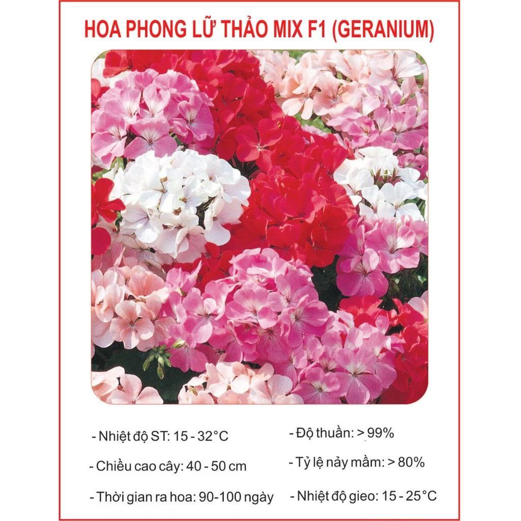 HẠT GIỐNG HOA PHONG LỮ THẢO MIX - HOA NỞ CỰC ĐẸP, CỰC DỄ TRỒNG TỶ LỆ NẢY MẦM CAO