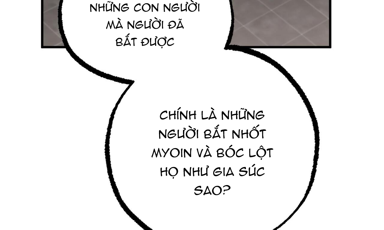 những chú thỏ của hapypy chapter 49 96