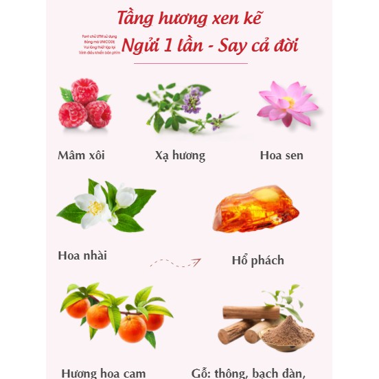 Nước hoa phụ khoa Lagumi Sweety