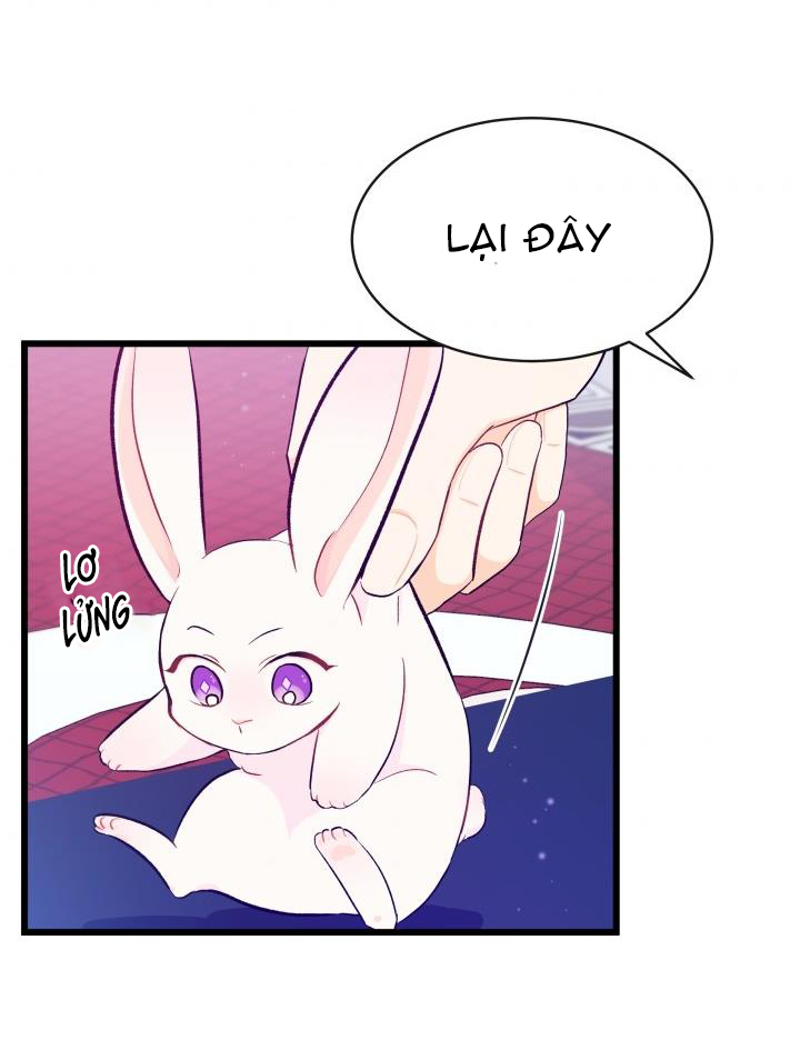 mối liên kết giữa báo đen và bé thỏ chapter 10 29