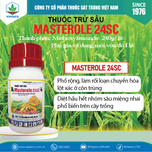 MASTEROLE 24SC-100CC PET - ĐẶC TRỊ SÂU