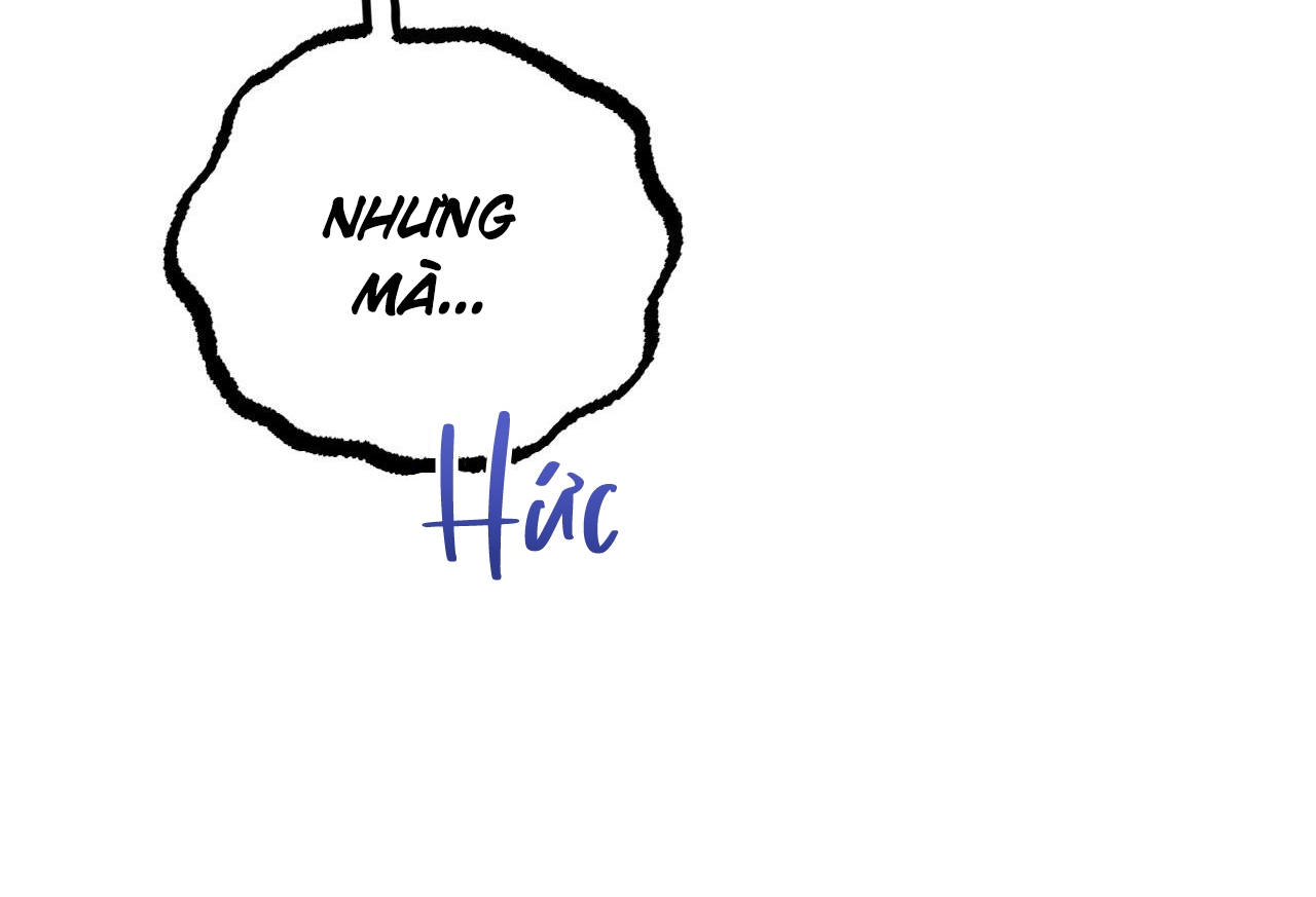 những chú thỏ của hapypy chapter 57 232