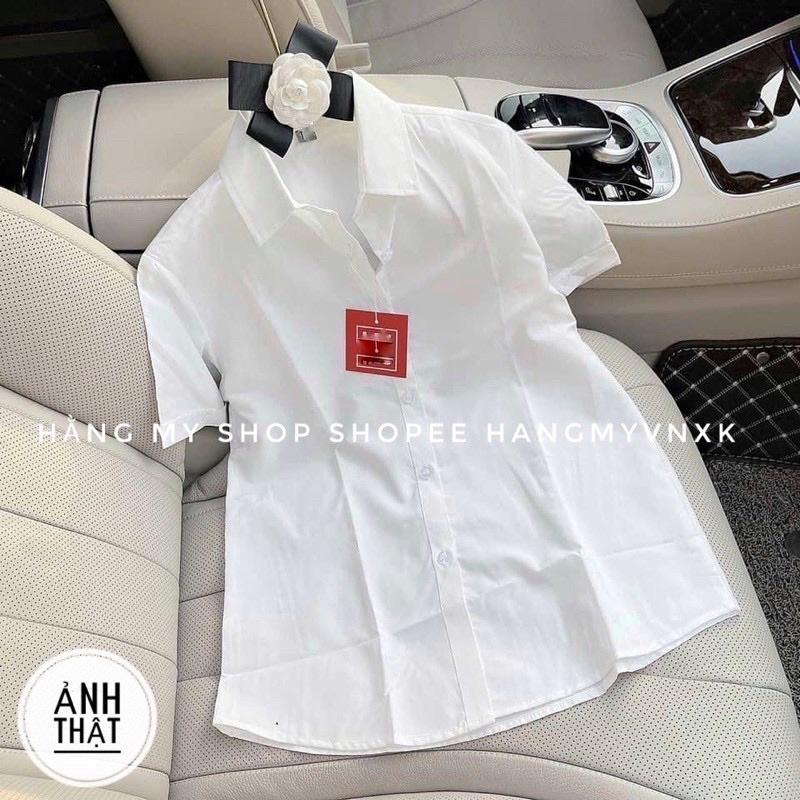 (Size 40-60kg) Áo Sơ Mi Nữ Công Sở Dài Tay Ngắn tay 4 Màu chất đẹp không nhăn