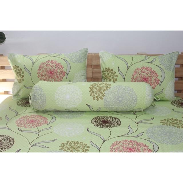 Drap cotton Việt nam