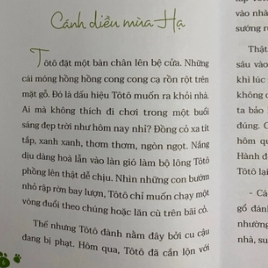 Tôtô - Chú Chó Với Ước Mơ Bay