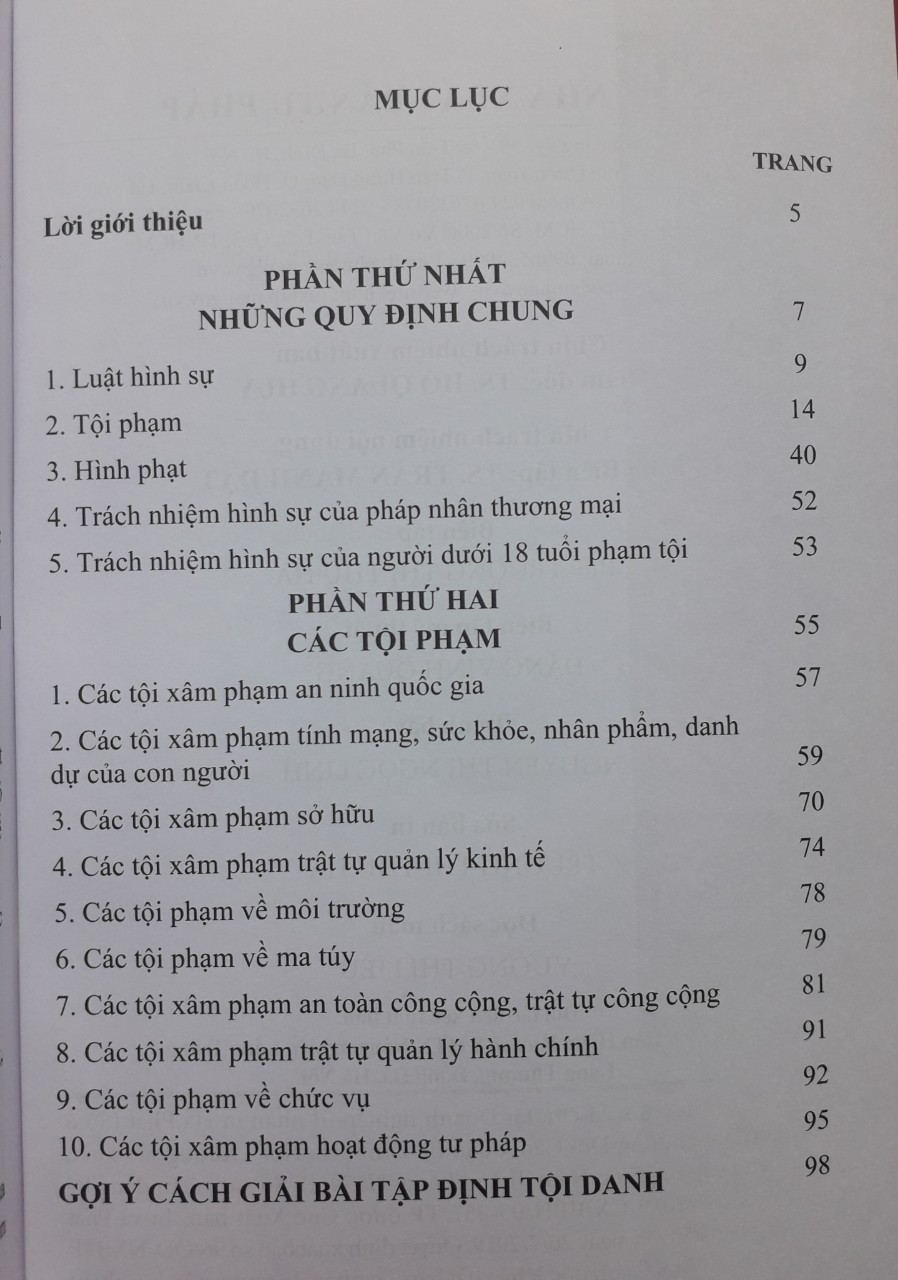 Mô Hình Luật Hình Sự Việt Nam