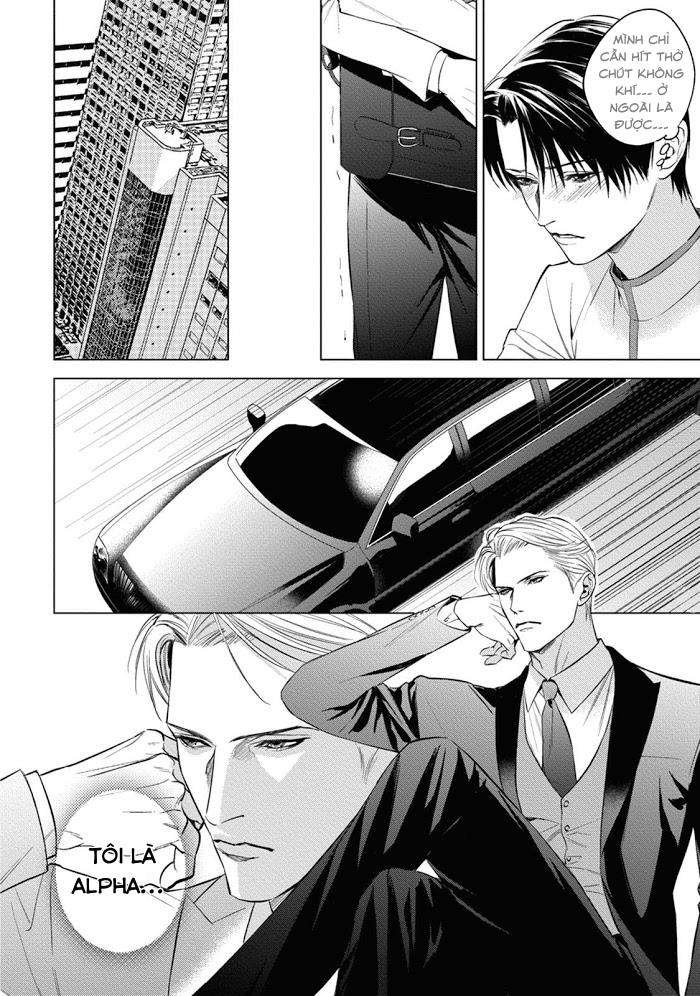cô dâu của alpha chapter 2 14