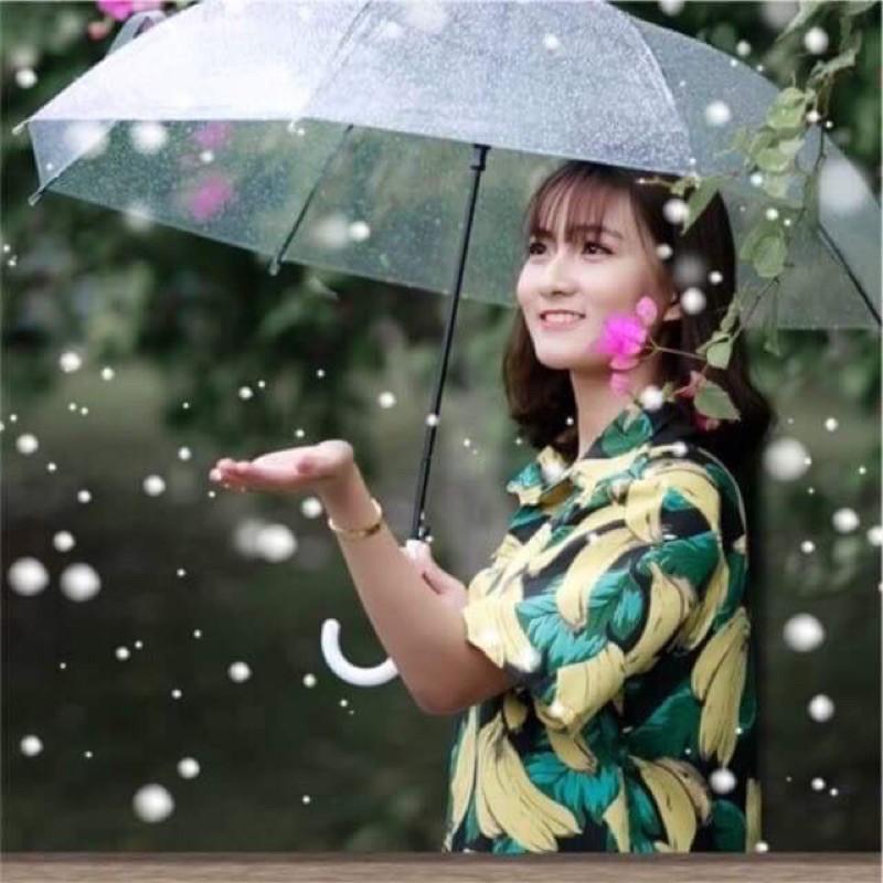 Áo sơ mi hoa quả chất lanh CON855