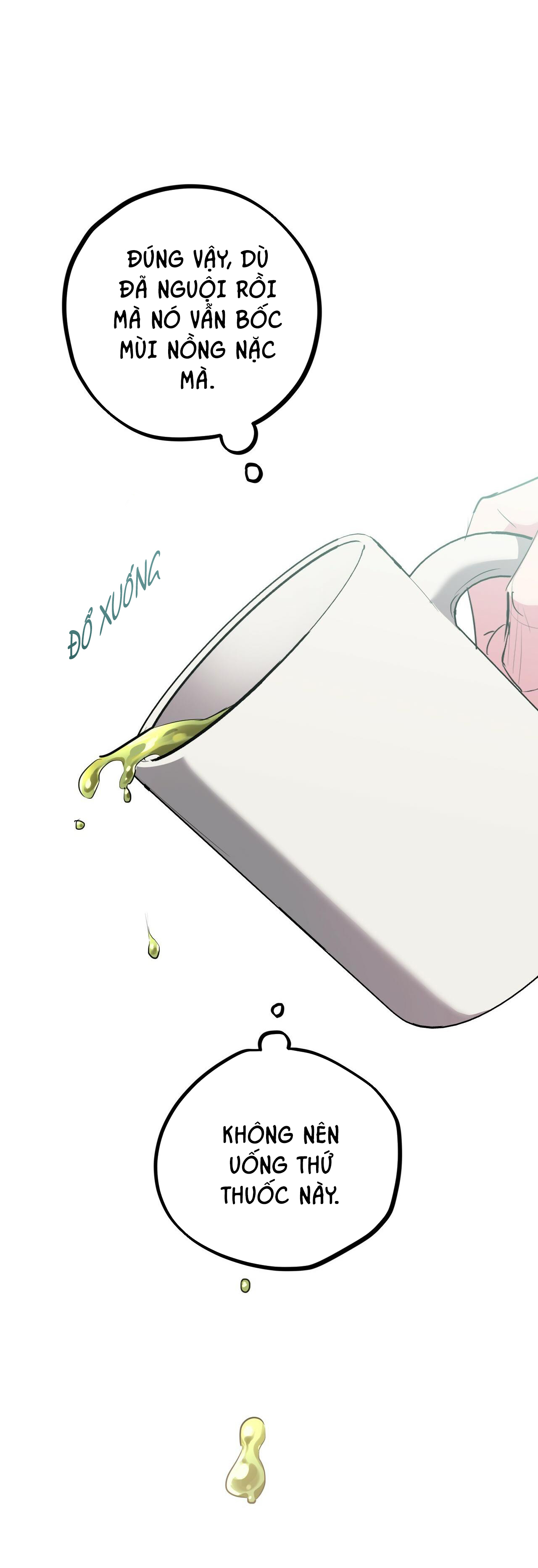 những chú thỏ của hapypy chapter 12 64