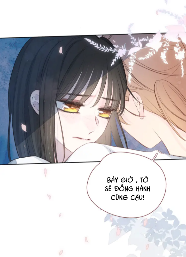 nỗi buồn của hoa cẩm tú cầu chapter 42 10