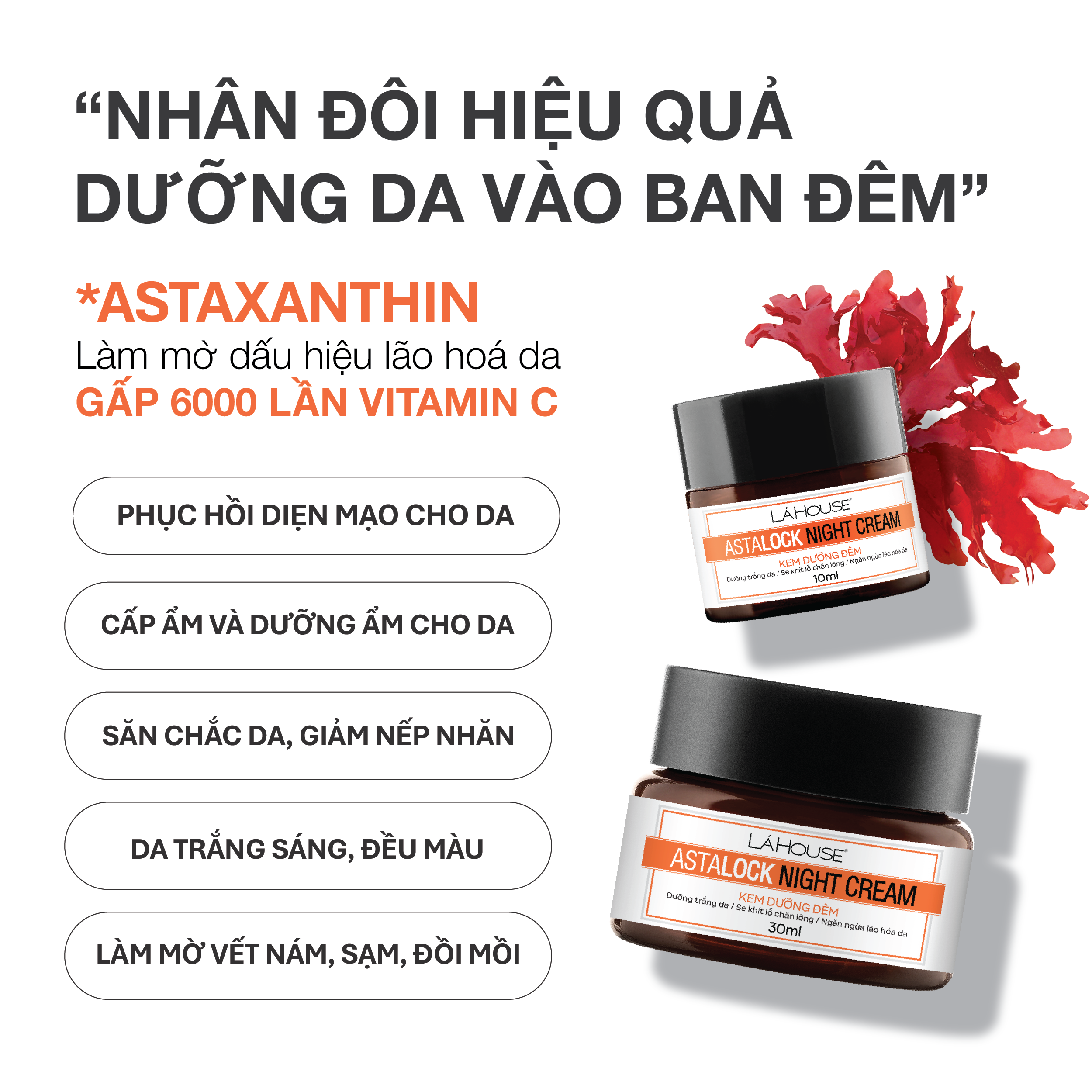 Hình ảnh Kem dưỡng đêm,dưỡng ẩm,dưỡng trắng da LÁ HOUSE Astalock Night Cream 10ml/30ml