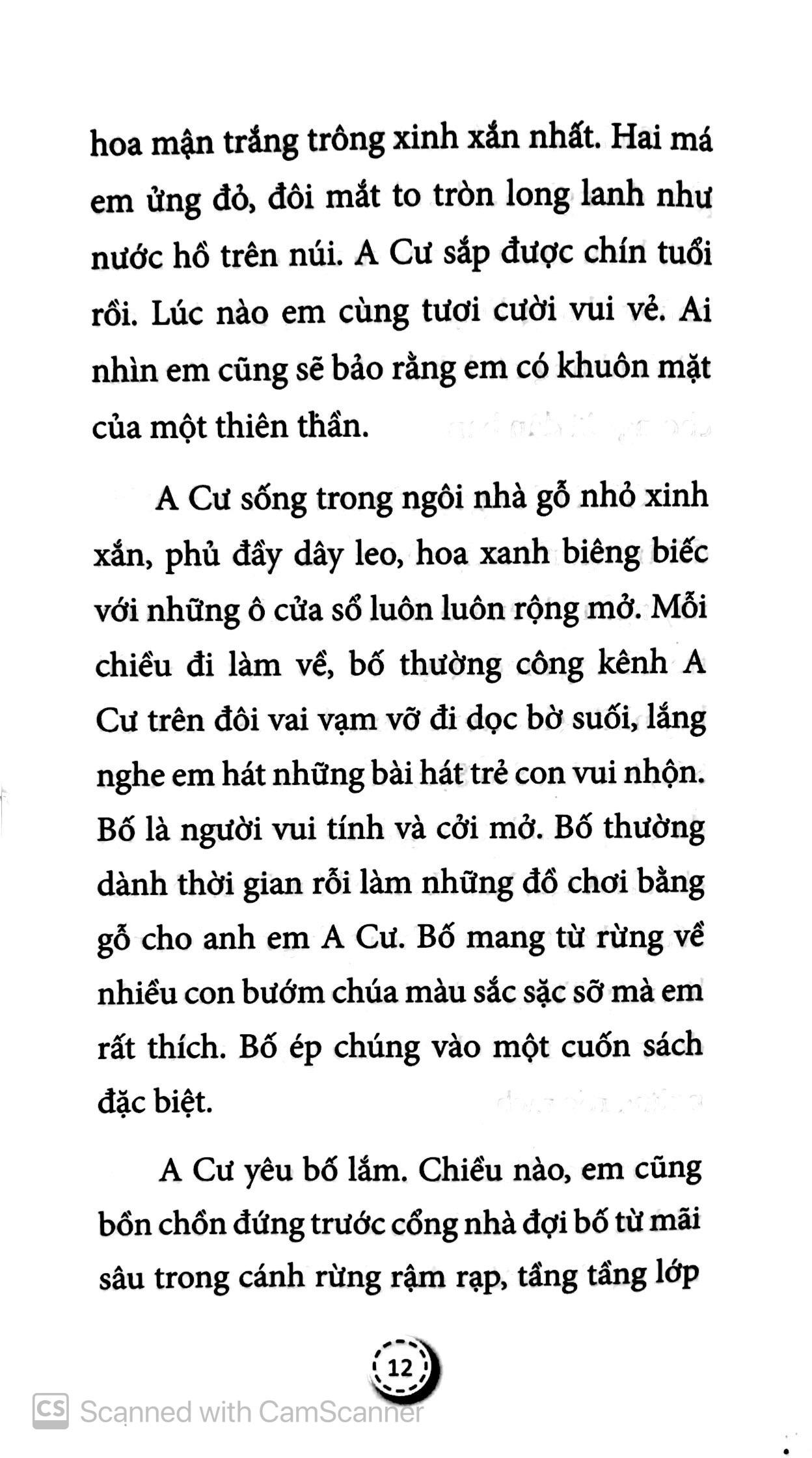 A Cư Và Những Người Bạn