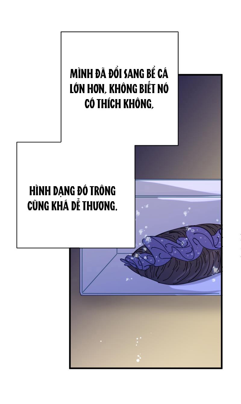 tiên cá trên bờ chapter 4 22