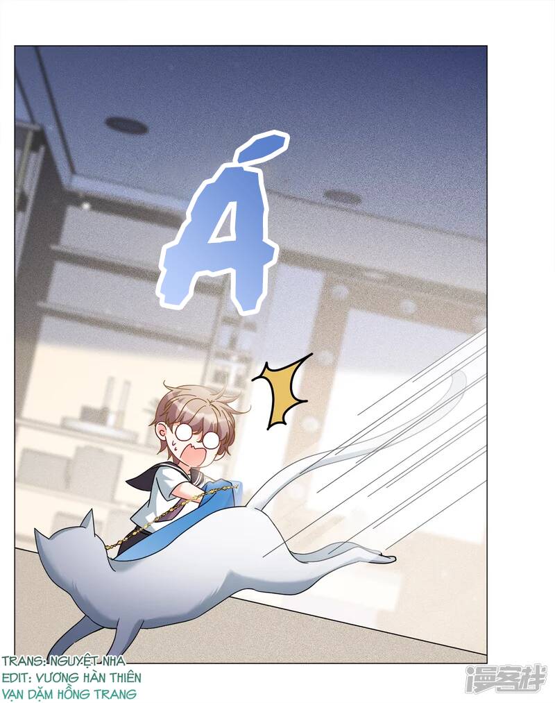 cô ấy đến rồi, xin nằm xuống! chapter 231 19