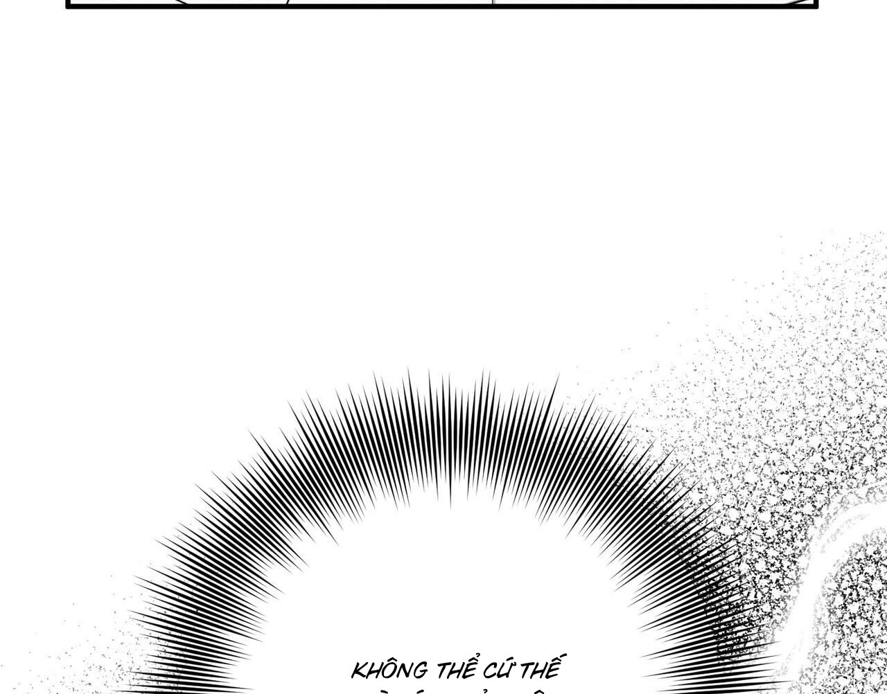 chàng dâu nhà họ kang chapter 37 41