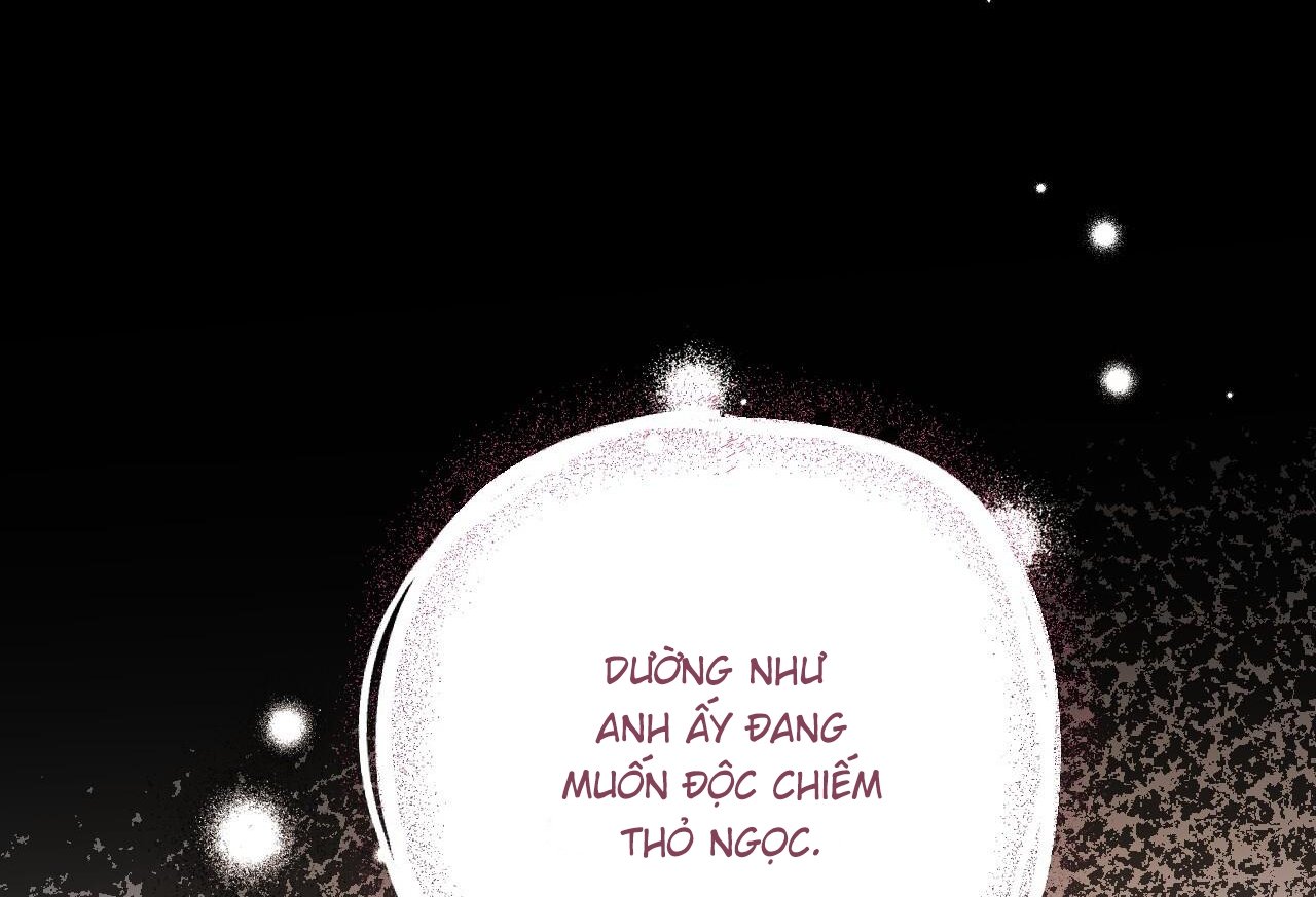 những chú thỏ của hapypy chapter 61 211