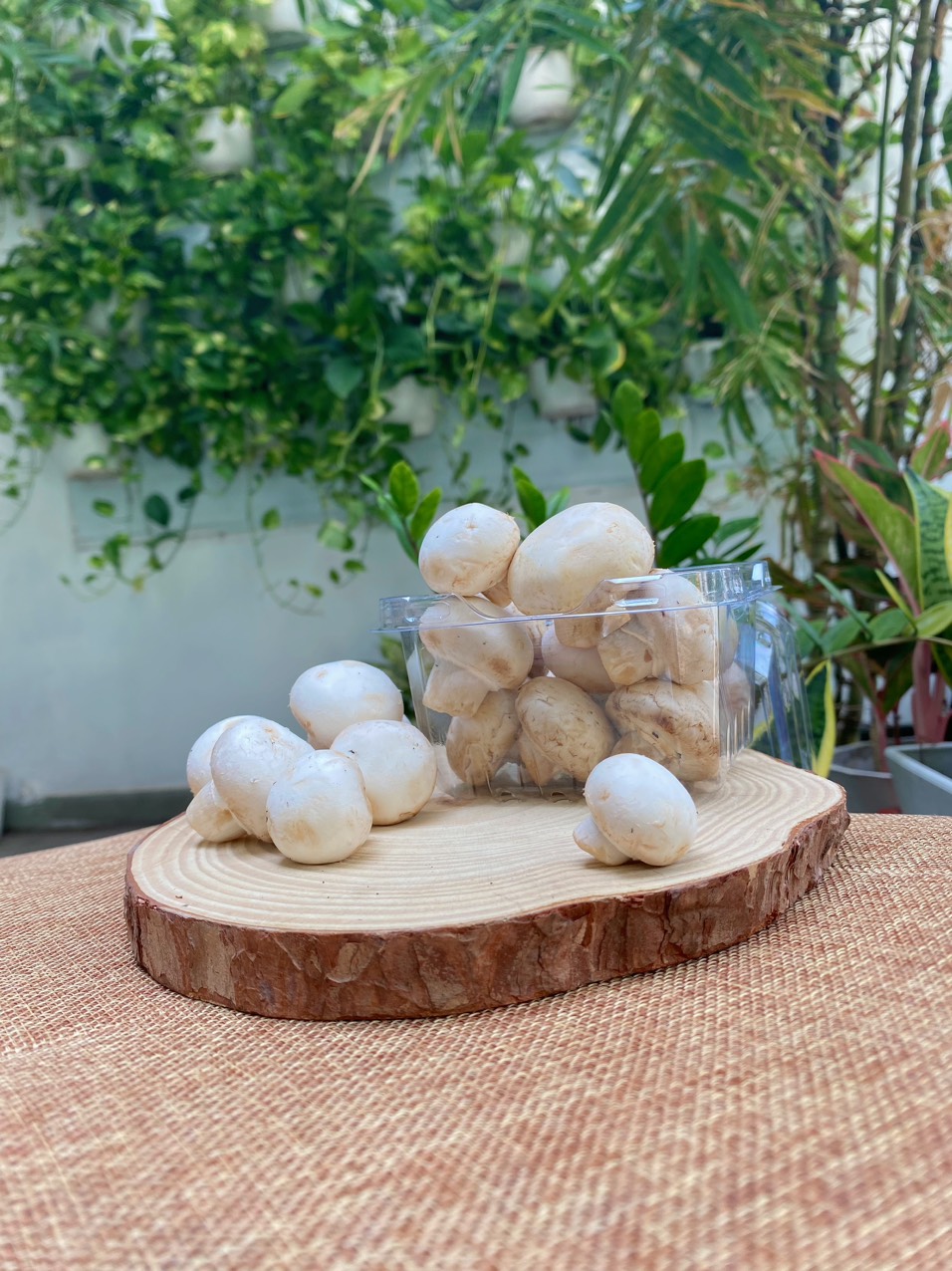 [CHỈ GIAO HCM] Nấm Mỡ - 200gr