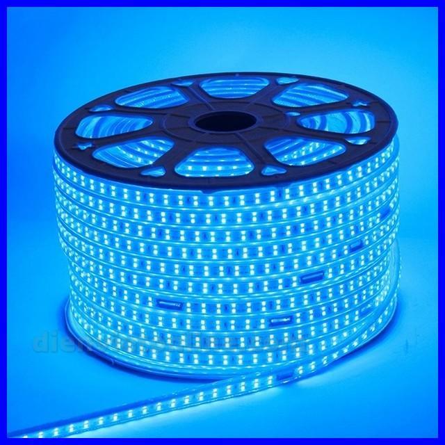 Đèn led dây 2835 2 hàng bóng Màu Xanh Dương loại tốt