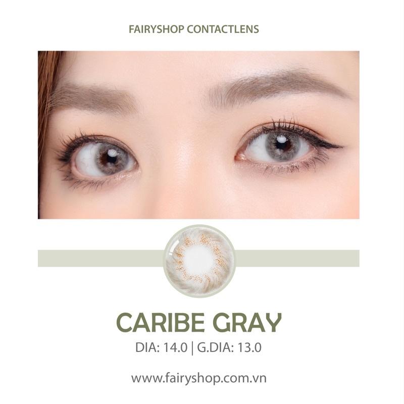 1 Chiếc Kính áp tròng Caribe Gray 14.0mm - FAIRY SHOP CONTACT LENS - độ 0 đến 8 silicone hydrogel Lens cho mắt thở