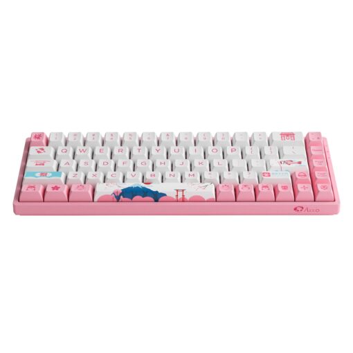 Bàn phím cơ AKKO 3068B Plus World Tour Tokyo R2 (Bluetooth 5.0 / Wireless 2.4Ghz / Hotswap / Foam tiêu âm / AKKO CS Jelly Pink) - Hàng Chính Hãng