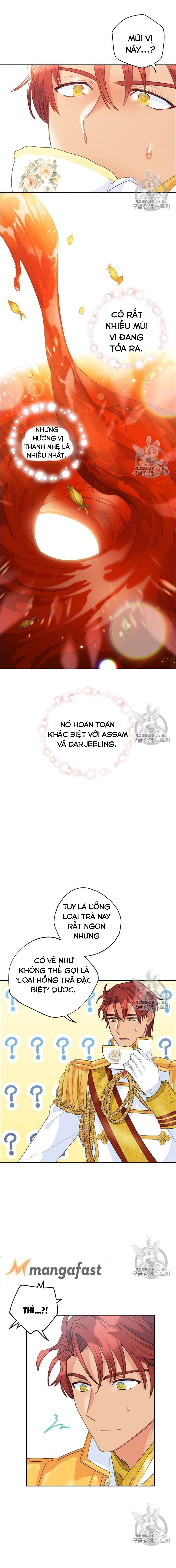 50 công thức pha trà của nữ công tước chapter 77 7