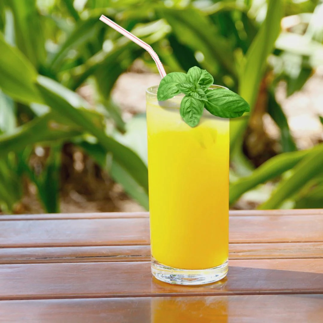Ly Nước Ép Pha Lê Stoelzle New York Bar Juice Glass 380ml - An Toàn Với Máy Rửa Chén - Sản Xuất Tại Đức