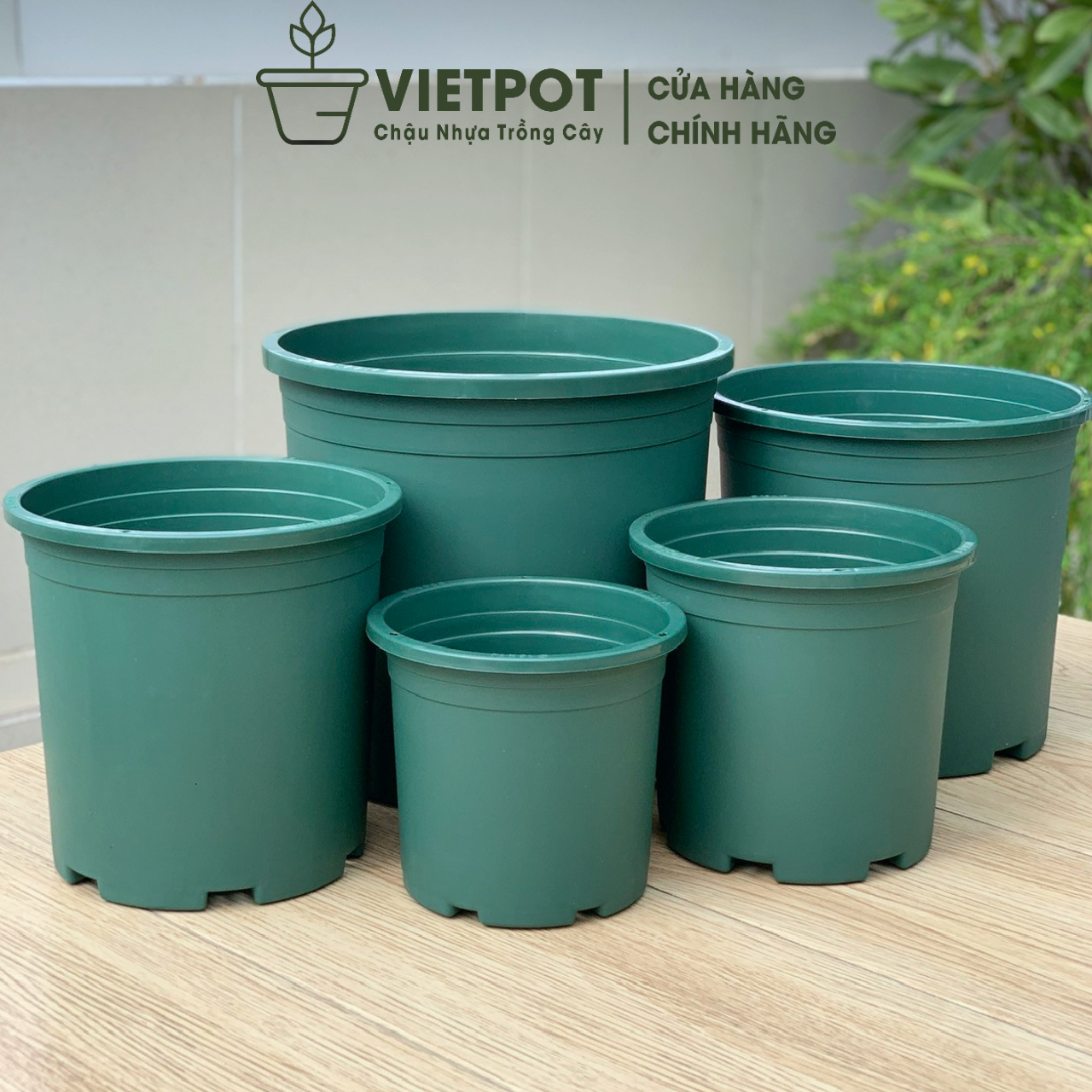Chậu nhựa trồng cây VIETPOT, mã 25, màu Xanh Trơn, trồng cây hoa nhiều cỡ, trồng kiểng lá, hoa hồng, rau, trang trí ban công, sân vườn