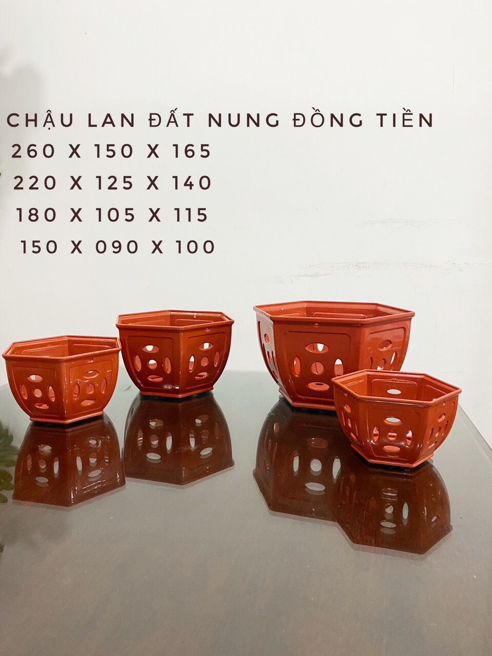 Bộ 05 chậu đẹp giả đất Đồng tiền