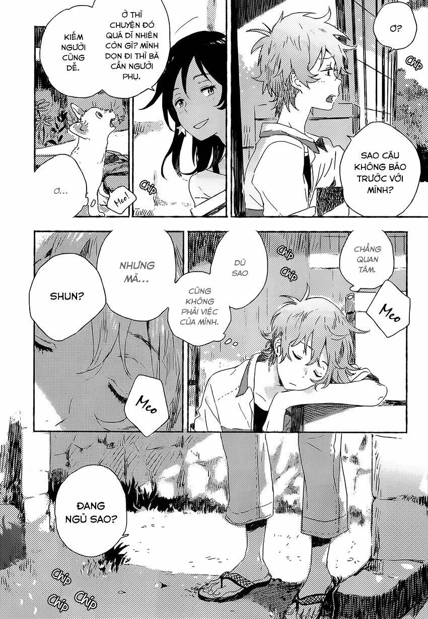 người lạ ven bờ biển chapter 1 43