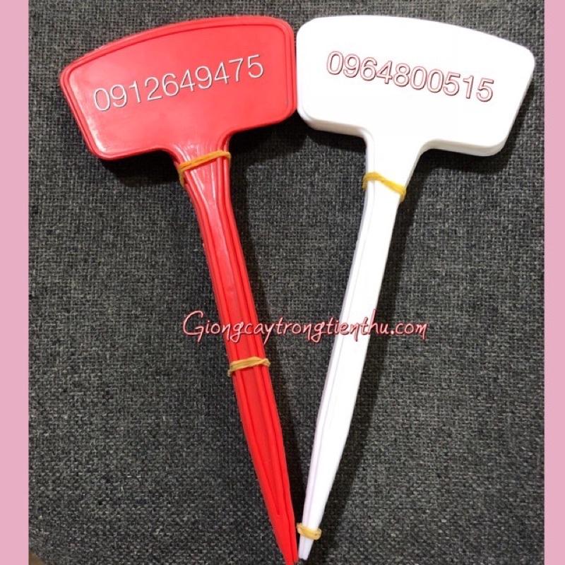 THẺ CỠ TO GHI TÊN CÂY TRỒNG,ĐỒ VẬT