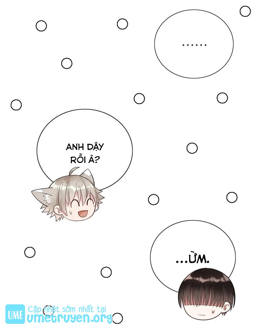 tức thời phạm quy [ tức thì vi quy ] chapter 27 25