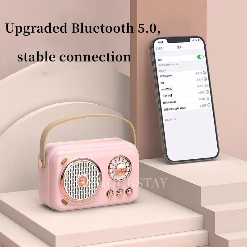 Loa bluetooth karaoke ngoài trời mini với loa siêu loãng micrô không dây Color: Dual Microphone