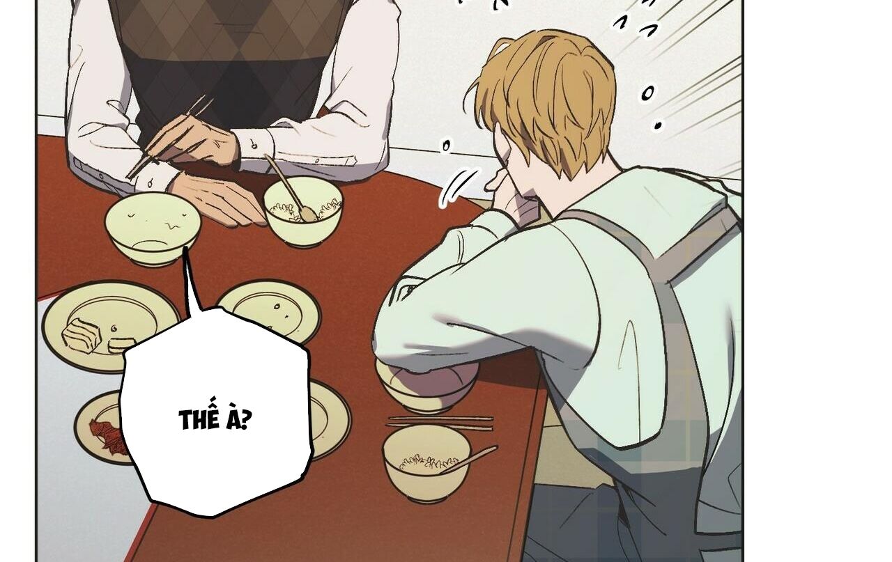 chàng dâu nhà họ kang chapter 20 101