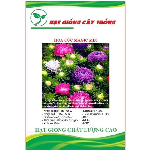 Hạt giống Hoa Cúc Magic Mix CT480 - Gói 50 hạt