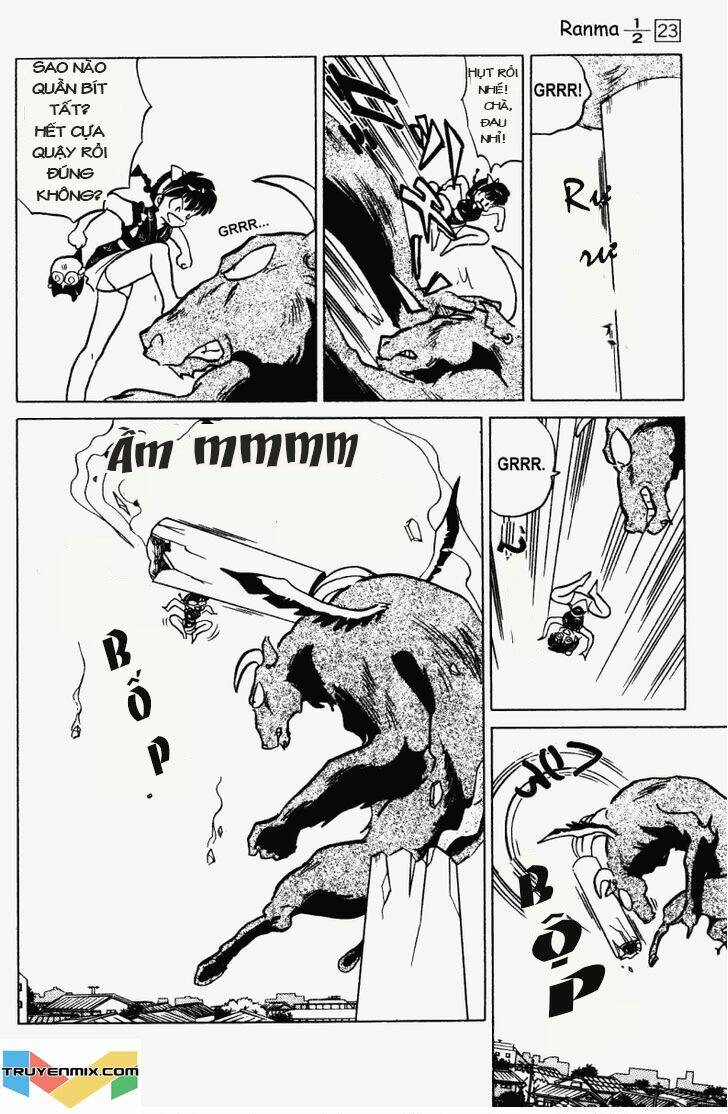 suối lời nguyền chapter 237 12