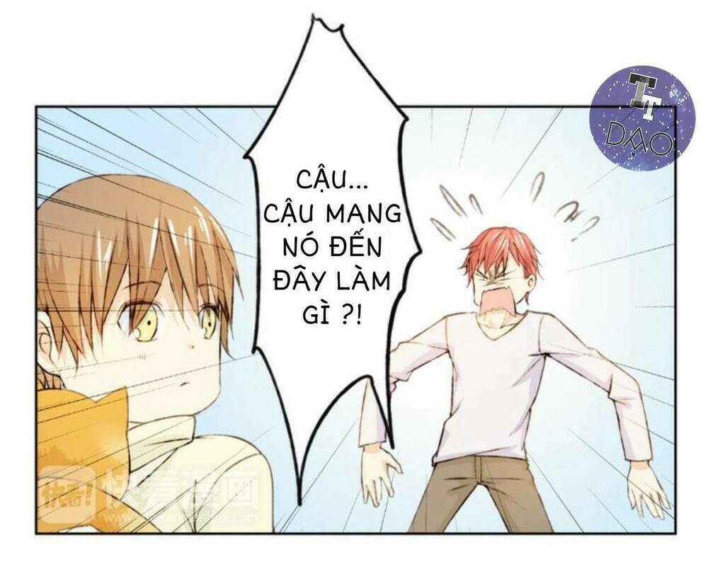 tôi không phải đa nhân cách chapter 12 8