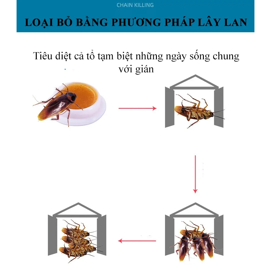 VIÊN DIỆT GIÁNSINH HỌC SINH HỌC VỈ 8 VIÊN Hiệu Quả, An Toàn Sử Dụng Dễ Dàng