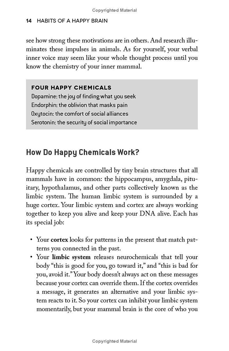 Sách ngoại văn: Habits Of A Happy Brain - Retrain Your Brain To Boost Your Serotonin, Dopamine, Oxytocin And Endorphin Levels