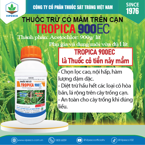 TROPICA 900EC-480CC PET - DIỆT CỎ MẦM TRÊN CẠN