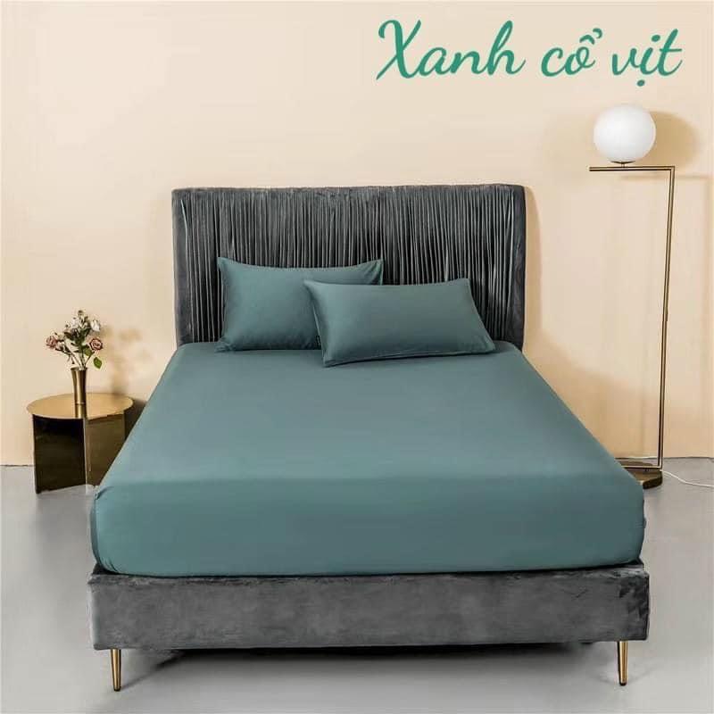 Set 1 ga lụa và 2 vỏ gối mỏng mát như hình chát chọn mẫu và kích thước