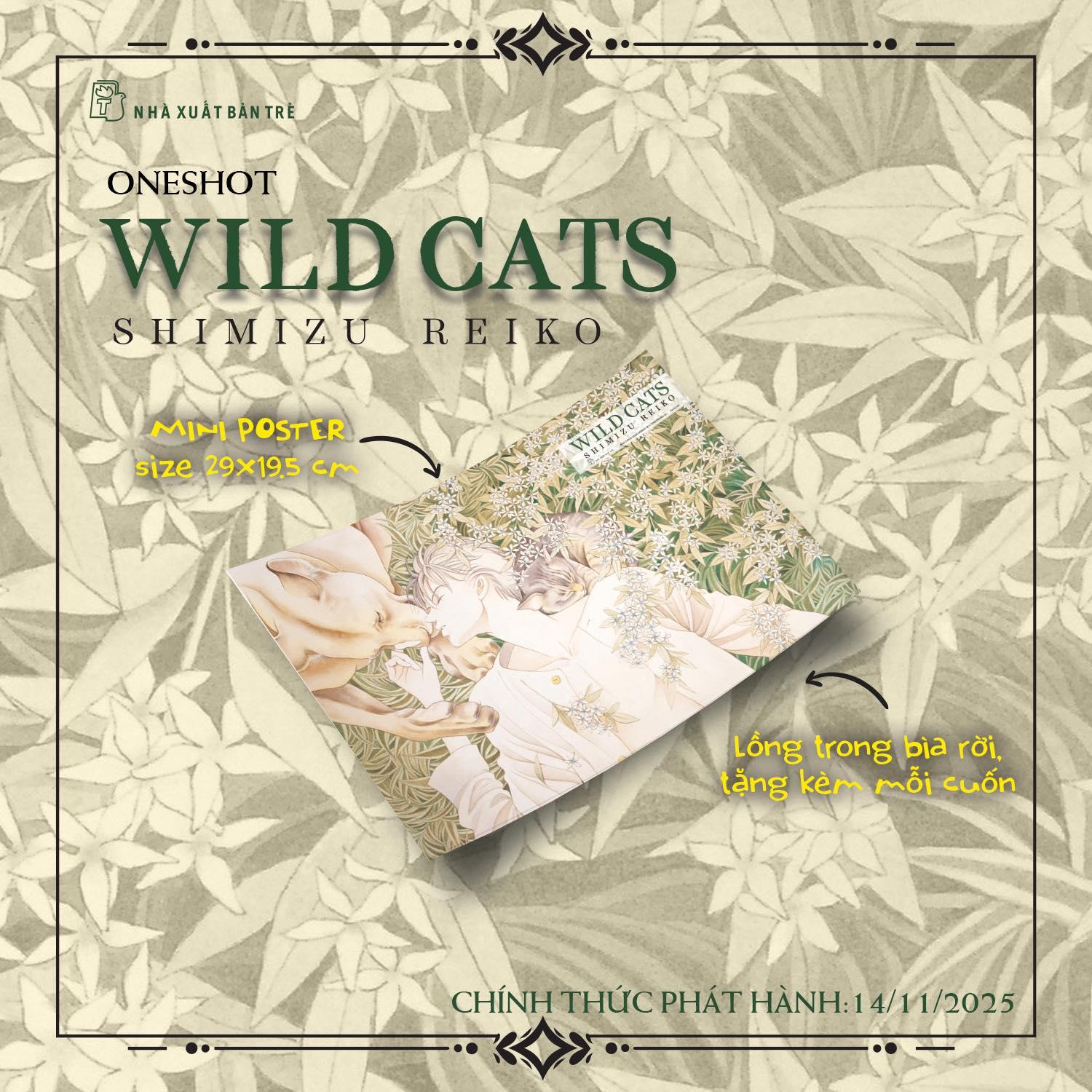 Sách - Wild Cats - Tặng Kèm Mini Poster + Card PVC