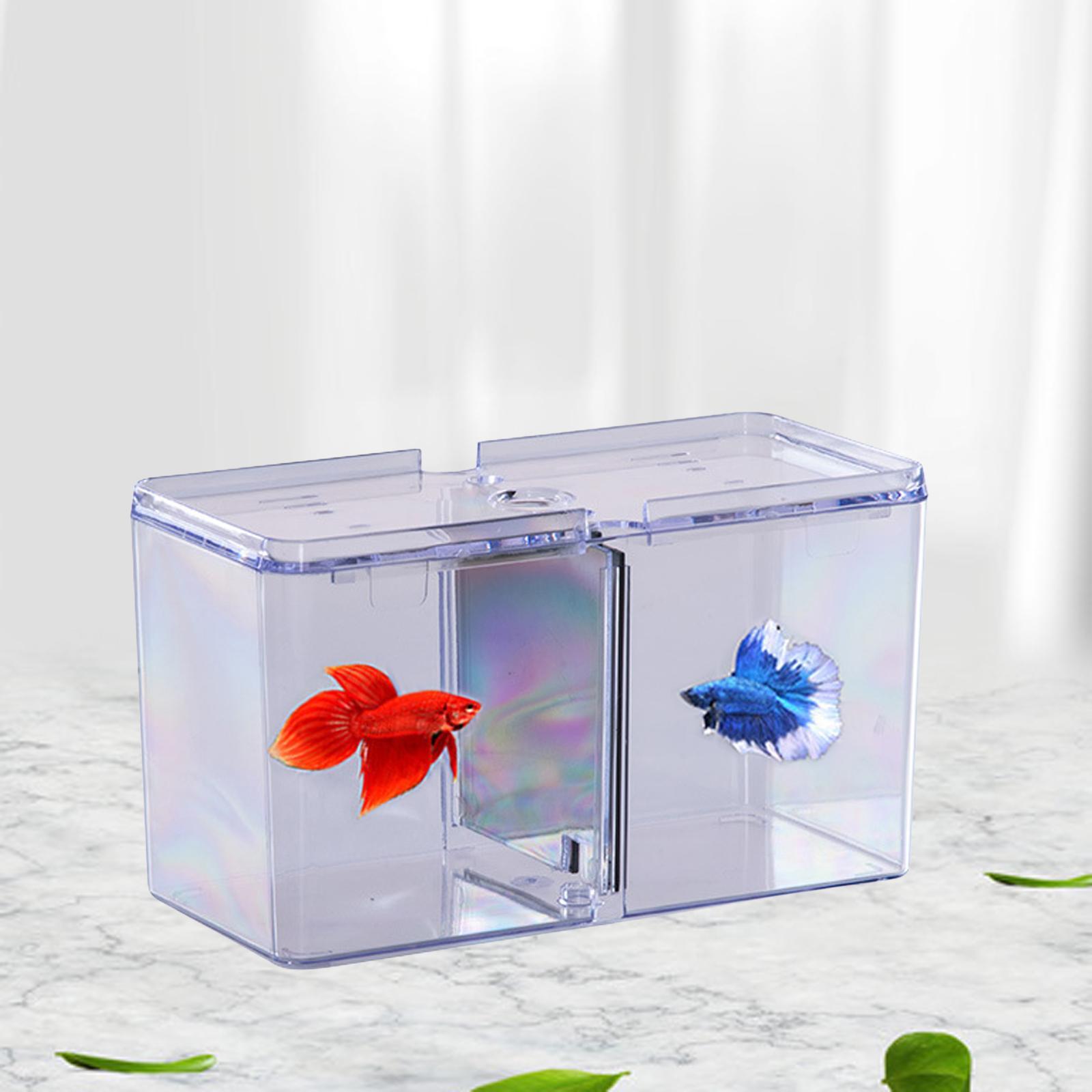 Fish Breeding Box Tank Hatchery Incubator Aquarium Isolation Box Guppy