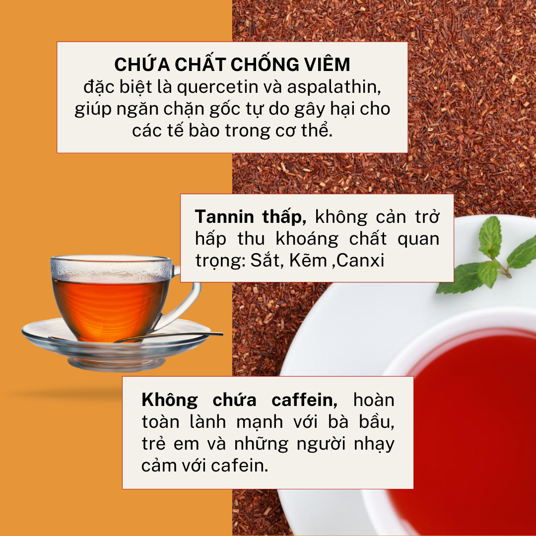 Trà thảo mộc Rooibos Nam Phi Natural 100gr ( 40 túi lọc)