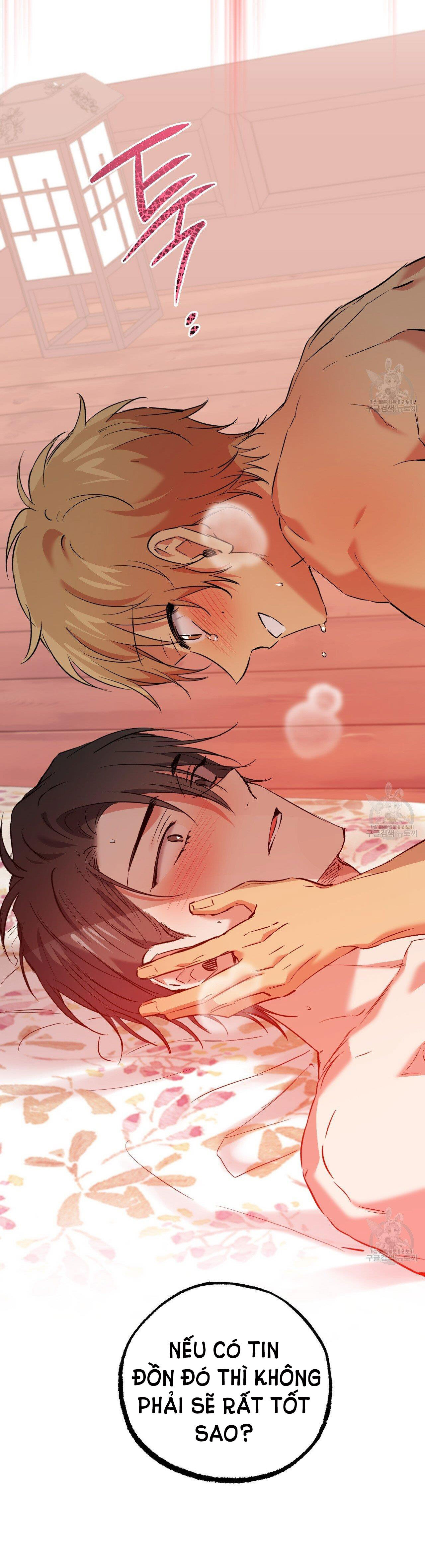 những chú thỏ của hapypy chapter 63.2 51