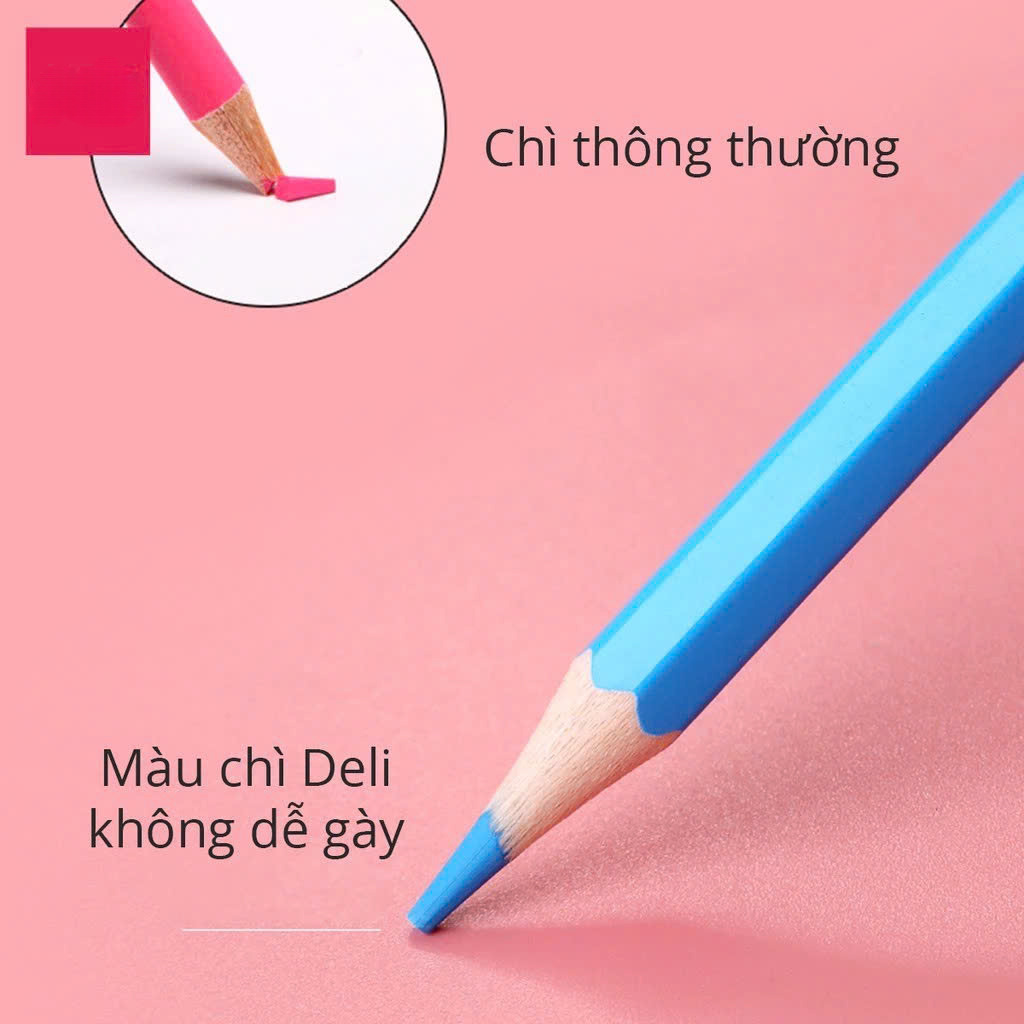 Bút chì màu chuyên nghiệp dạng cốc 24 MÀU Kèm Gọt